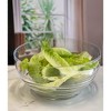 Gulches Decorative Bowls - Swirl Design Unbreakable Serving Bowls for All Occasions - 2 of 4