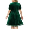Agnes Orinda Women's Plus Size Velvet Lace Trim Short Sleeve Party A Line Dresses - 4 of 4
