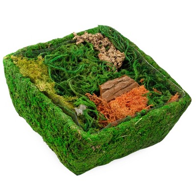Esterno Square Fairy Garden Display, DIY Dried Moss Enchanted Landscape Terrarium Starter Kit
