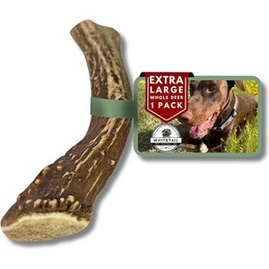 WhiteTail Naturals Extra Large Deer Antler Chew for Aggressive Large Dogs – Durable, Natural Long-Lasting Bone – Single Pack - 1 of 4