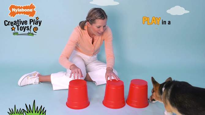 Nylabone Creative Play Stik-Go Dog Toy, 2 of 5, play video