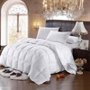Egyptian Linens Goose Down Comforter Light-Medium Fill Weight - 4 of 4