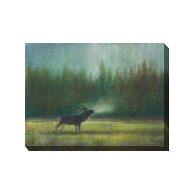 Cottage Garden West of The Wind in The Wild Blue, Green 40 x 30 Inch Waterproof Gallery Wrapped Canvas, Outdoor Garden, Yard, Patio All Weather