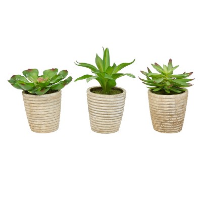 Faux Succulents - Assorted Lifelike Plastic Greenery Arrangements in Decorative Vases for Indoor by Nature Spring (Set of 3)