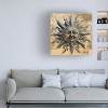 Canvas Wall Art - Sasha 'My Face to the Sun II' Wall Art for Living Room, Bedroom, or Office Décor by Trademark Fine Art - 24 x 24 Inches - 3 of 4