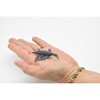 Collectible Wildlife Gifts | Dolichorhynchops Plesiosaur, Ancient Marine Animal  Very Nice Plastic Replica   3 1/8"   F4163 B374 - 2 of 4