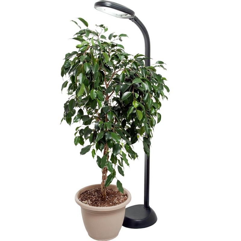 Hydrofarm Agrobrite 27 Watt Indoor Adjustable Standing Plant Lamp Light (2-Pack), 4 of 7