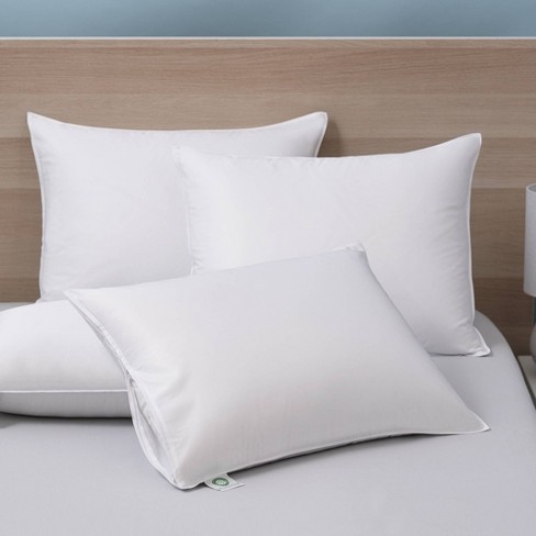 AllerEase Standard/Queen Cotton Pillow Protector in the Pillow Protectors  department at