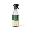 Lemon & Mint All Purpose Cleaner - 28 fl oz - Everspring™