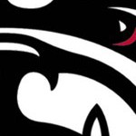 georgia bulldogs uga