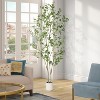 Garvee Artificial Eucalyptus Tree, Realistic Faux Plant with Round Leaves, Adjustable Branches, Home or Office - 3 of 4