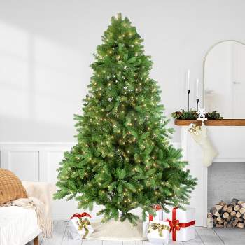 Northlight Real Touch™️ Pre-Lit Full Noble Fir Artificial Christmas Tree - 6.5' - Clear Lights