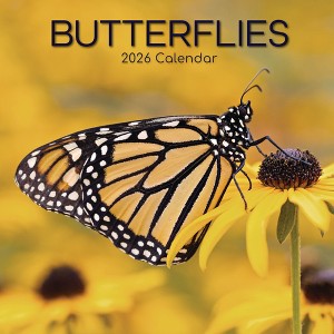 2026 Square Wall Calendar, Butterflies, 16-Month Animals Theme with 180 Reminder Stickers (12x12 In) - 1 of 4