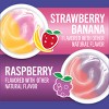Yoplait Kids' Bluey Yogurt Raspberry/Strawberry Banana - 32oz/8ct - 4 of 4
