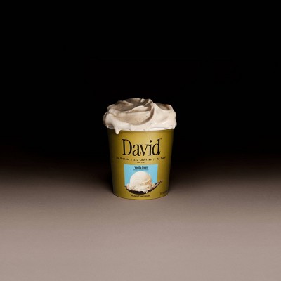David Protein Vanilla Bean Frozen Dessert - 16oz