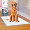 Four Paws X-Large Wee Wee Pads 28" x 34" 75pc - 3 of 3