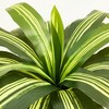 5-6ft UV & Sunproof Artificial Dracaena Tree for Indoor/Outdoor - Faux Silk Plant in Tall Planter, Tall Faux Tree for Home & Garden Decor - 4 of 4
