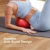 Sunny Health & Fitness - Premium Exercise Ball for Yoga/Pilates - 4 of 4