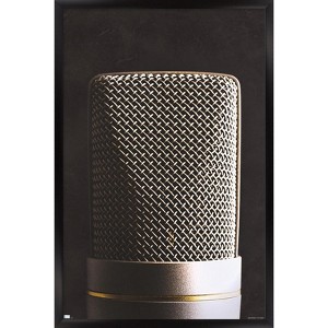 Trends International Tom Quartermaine - Retro Microphone Framed Wall Poster Prints - 1 of 4