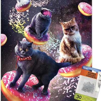 clear push pins bundle