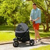 Munora 3-in-1 Pet Jogging Stroller for Small Dogs & Cats - Detachable Carrier, Storage Basket, 12" EVA Wheels - Gray - 2 of 4