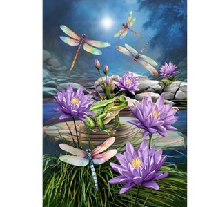 Briarwood Lane Summer House Flag 40x28 For Outdoor Dragonflies and Frog For Summer House Flag - 1 of 4