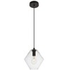 Elegant Lighting Placido Collection Pendant D9.4 H10.8 Lt:1 Black and Clear Finish - 3 of 4