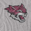 Men's California State University Chico Official Distressed Primary T-Shirt California State University Chico - 2 of 4