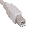 SANOXY Cables and Adapters; 10ft USB 2.0 A Male to B Male Cable, White - 3 of 3