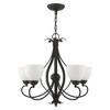 Livex Lighting Brookside 5 - Light Chandelier in  Black - 4 of 4