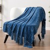 PAVILIA Chenille Throw Blanket with Woven Knitted Tassel Fringe for Couch, Living Room Decor and Bed - 4 of 4