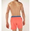 Men's Clearance Classic Swim Trunk 5.5" - Chubbies - image 2 of 3