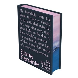 My Brilliant Friend Deluxe Edition: The Four Volumes - by  Elena Ferrante (Hardcover) - 1 of 1