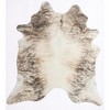 Rugs America Nash HC31 Animal Contemporary Area Rug - 2 of 4