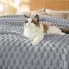 Bedsure Blanket for Bed - Super Soft, Cozy Blankets for Women, Cute Fleece - 3 of 4