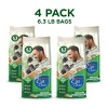 Purina Cat Chow Indoor Healthy Weight & Hairball Control Chicken Flavor Dry Cat Food - 3 of 4