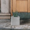 Rosemead Home & Garden, Inc. Kante  Square Concrete Indoor Planter Pots White 11.8" x 11.8" x 11.8" - 4 of 4