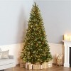National Tree Company 7.5'/9'/10' Pre-Lit Gold Metallic Artificial Christmas Tree Warm White Lights - 2 of 4