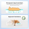 ZOMISIA Orthopedic Cat Couch Bed, with Supportive Egg Foam, Fluffy Faux Fur Removable Washable Cover and Non-Slip Bottom - 3 of 4