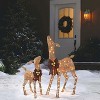 NOMA Pre Lit White LED Outdoor Holiday Lawn Decoration Set - 3 of 4