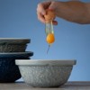 Mason Cash Nautical Collection Turtle Size 24 Mixing Bowl, 2.15 Quart - 2 of 4