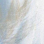 farmhouse gray