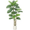 Simulated Monstera Deliciosa with Curved Plastic Pole, Large and Realistic Tropical Palm Tree, with Bendable Branch, UV Resistant, Suitable - 2 of 4