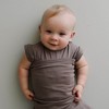 embe Transitional Short Sleeve Swaddle Sack with arm snaps (3-6 months) Arms-In/Arms-Out, Legs-In/Legs-Out - 2 of 4