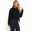 Petal and Pup Birdie Tie Side Knit Sweater - 2 of 4