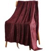 Kate Aurora Floral Ferns Shabby Chic Styled Oversized Ultra Soft & Plush Accent Throw Blanket - 3 of 3
