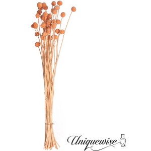 Uniquewise Preserved Real Floral Stems Chic Vase Fillers & Accents for Bouquets Centerpieces - 1 of 4