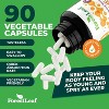 Forest Leaf Dhea Ultra 100mg Capsules, Mood & Vitality Boost, Supports Optimal Hormone Levels - 90 Caps - 4 of 4