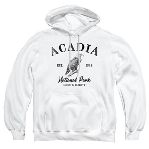 Men's Acadia National Park Bald Eagle Icon Pull-Over Hoodie - 1 of 4
