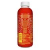 GT's Synergy Seasonal Kombucha - 16 fl oz - 2 of 2